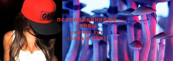 гидра Медногорск