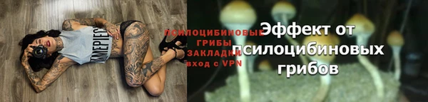 МДПВ Медвежьегорск