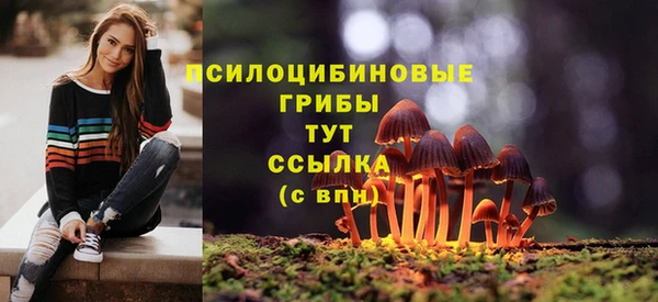 а пвп мука Мегион