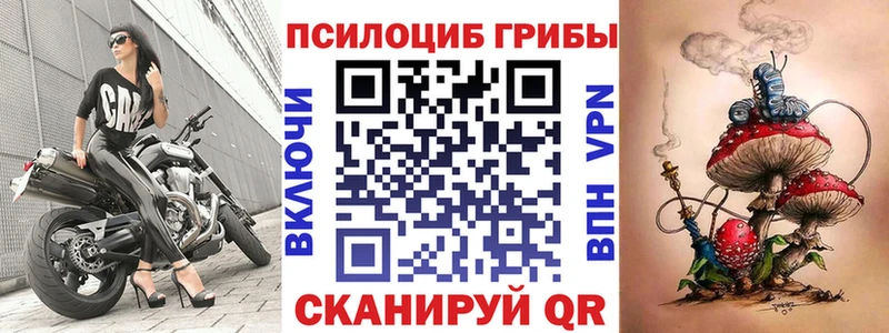 Псилоцибиновые грибы мухоморы  купить наркоту  Облучье 